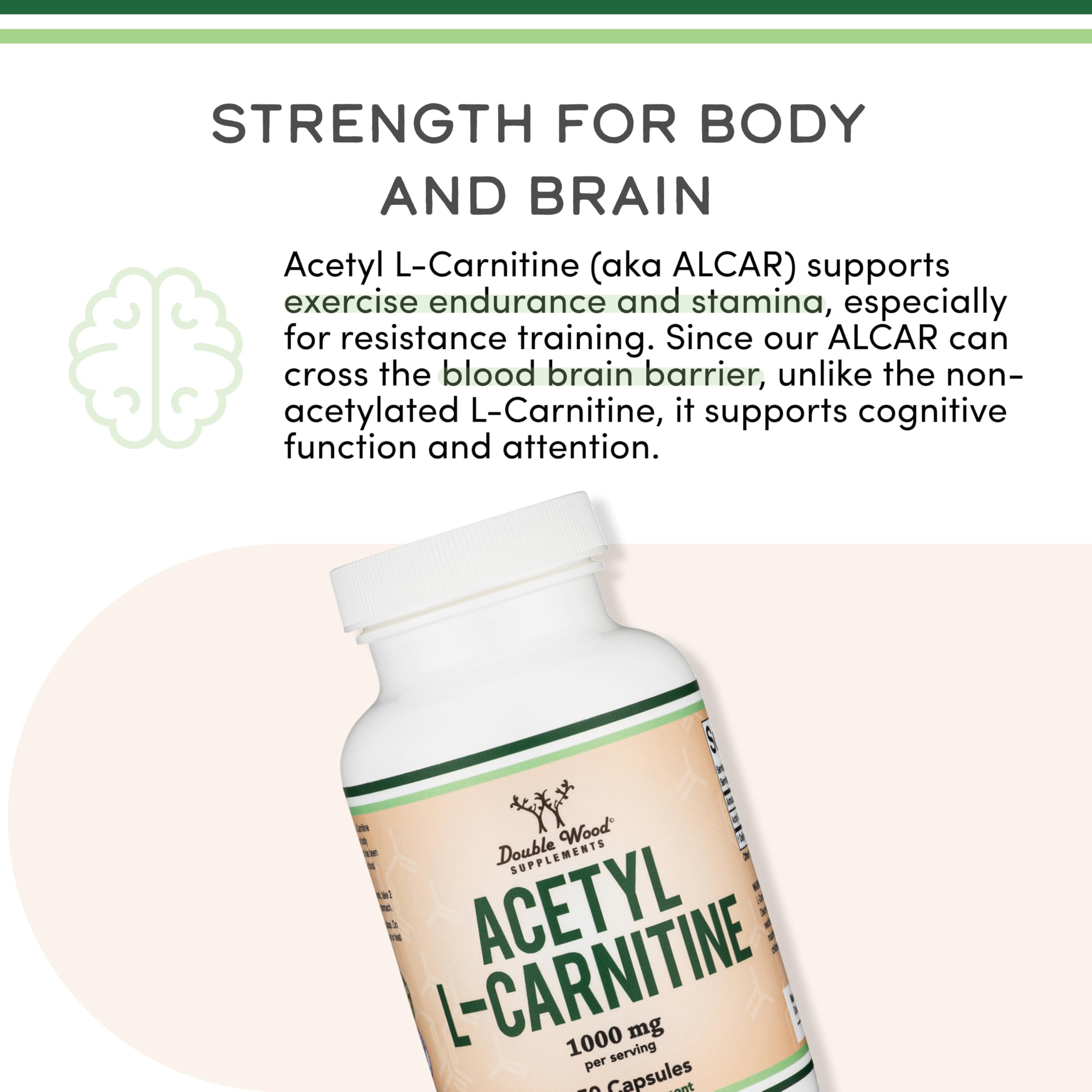 Double Wood Supplements Acetyl L Carnitine bottle with brain and body benefits text acetyl l carnitine supplement UAE