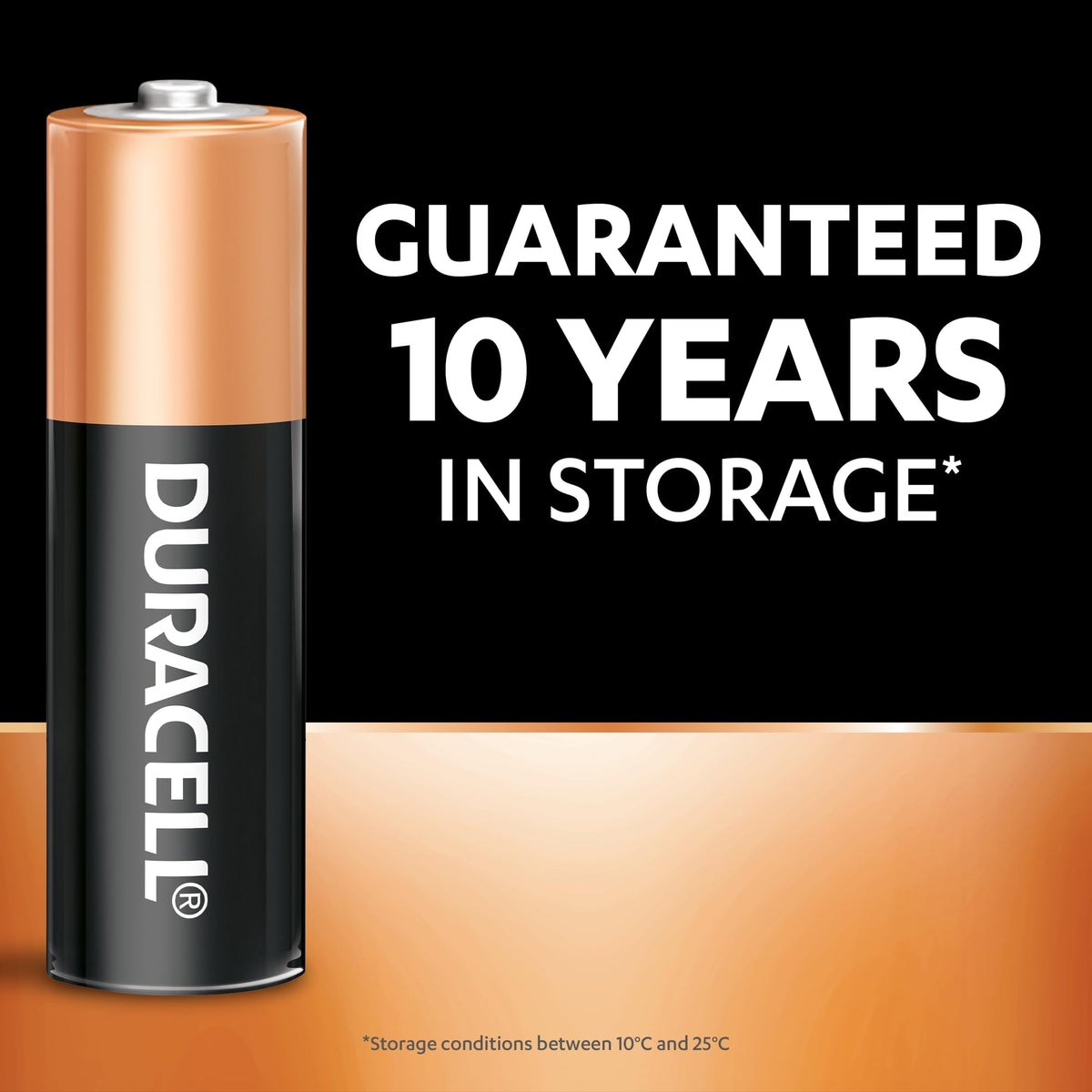 Duracell AA batteries 20 pack with guaranteed 10 years in storage black and copper design