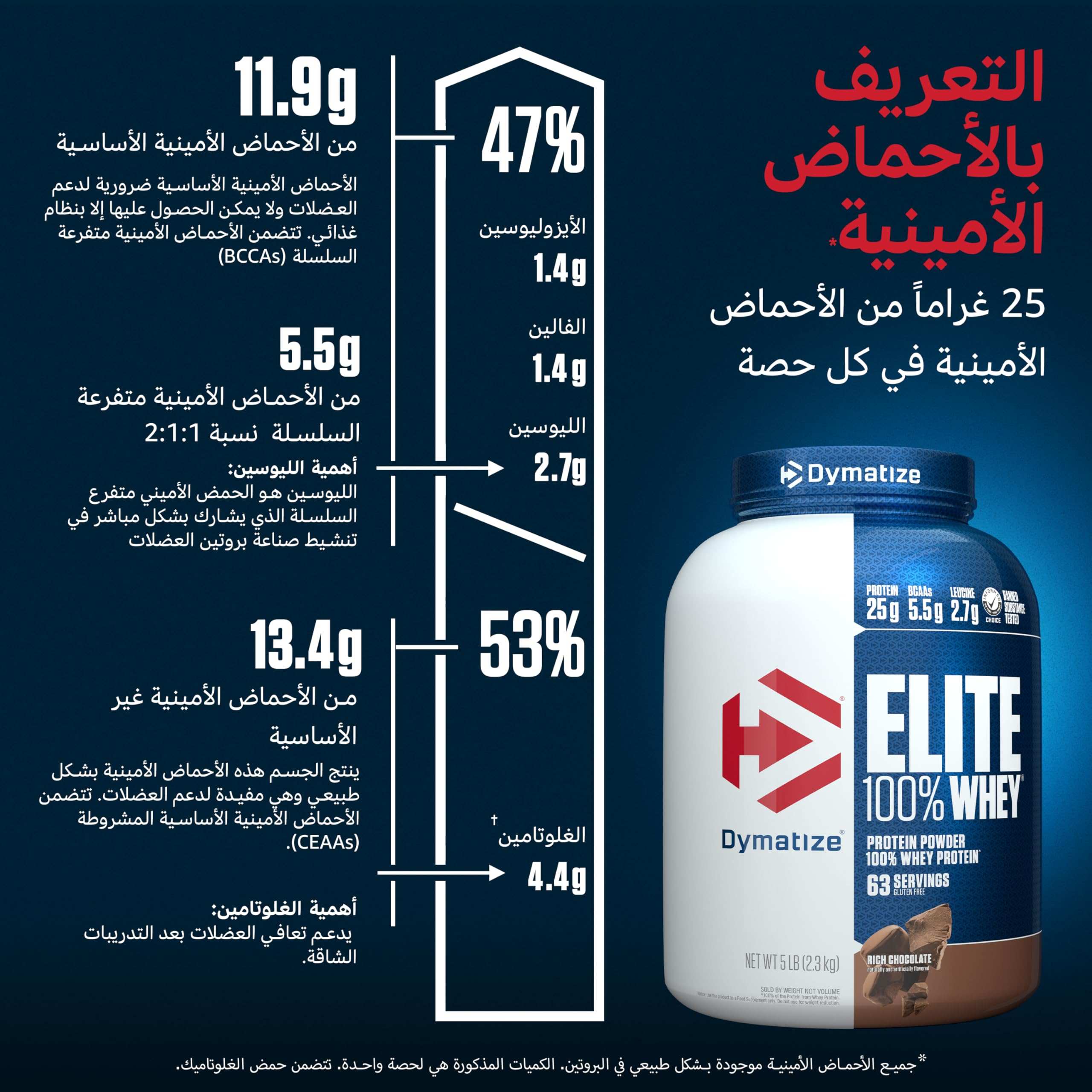 Dymatize Elite Whey Protein Rich Chocolate tub with Arabic amino acid breakdown infographic showing grams and percentages