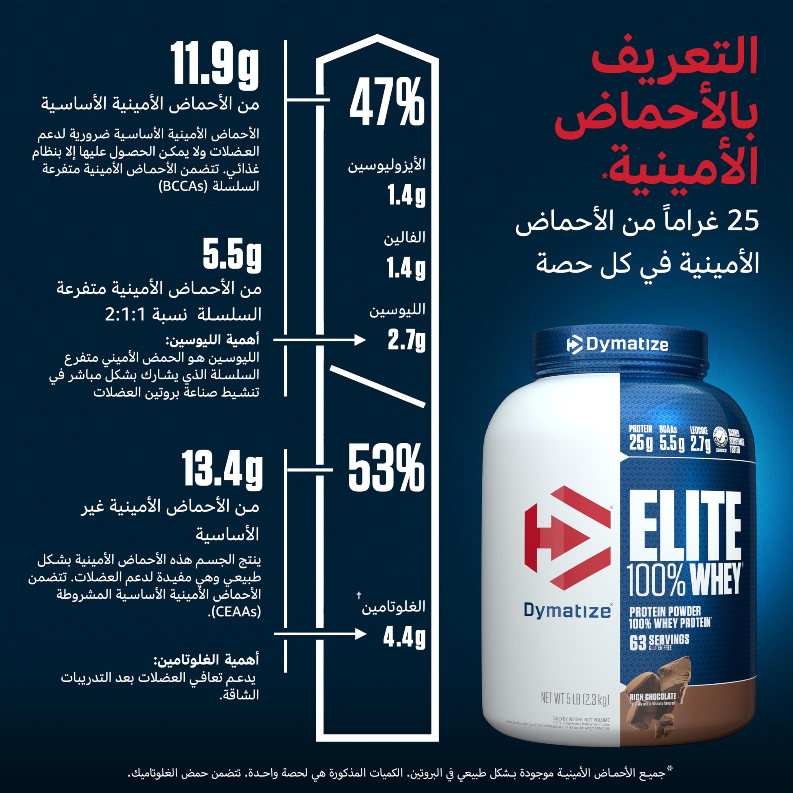 Dymatize Elite Whey Protein Rich Chocolate tub with Arabic amino acid breakdown infographic showing grams and percentages