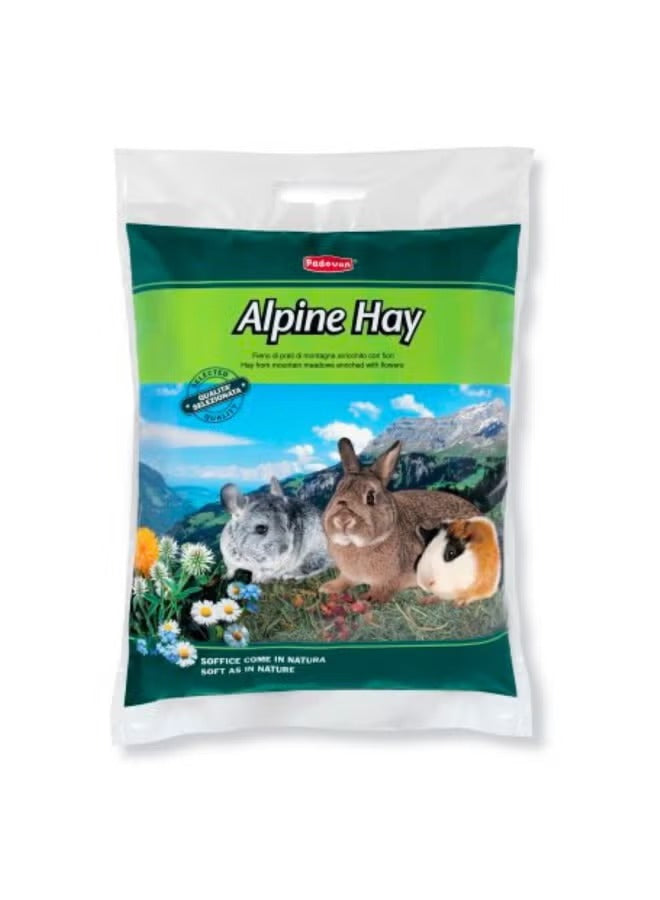 Padovan Alpine Hay 700g – High-Fiber Mountain Hay for Dwarf Rabbits, Guinea Pigs & Chinchillas