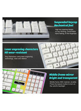 Close-up of white keycaps with crisp lettering and colorful RGB backlight on switches