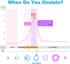 Chart showing when you ovulate with LH surge curve peak fertility window and ovulation icons for ovulation test strips UAE