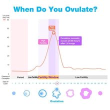 Fertility timing chart labeled low fertility, fertility window, and peak fertility