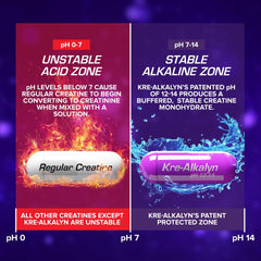 Infographic explaining Kre Alkalyn creatine capsules pH stability compared to regular creatine