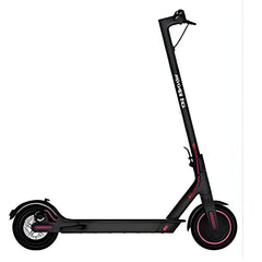 Winner Sky riding scooter black electric scooter with 250W motor and pink accents