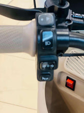 Electric tricycle handlebar control switches and illuminated indicator light