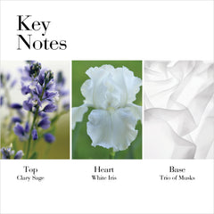 Key notes of Elizabeth Arden White Tea perfume showing clary sage top, white iris heart, and trio of musks base