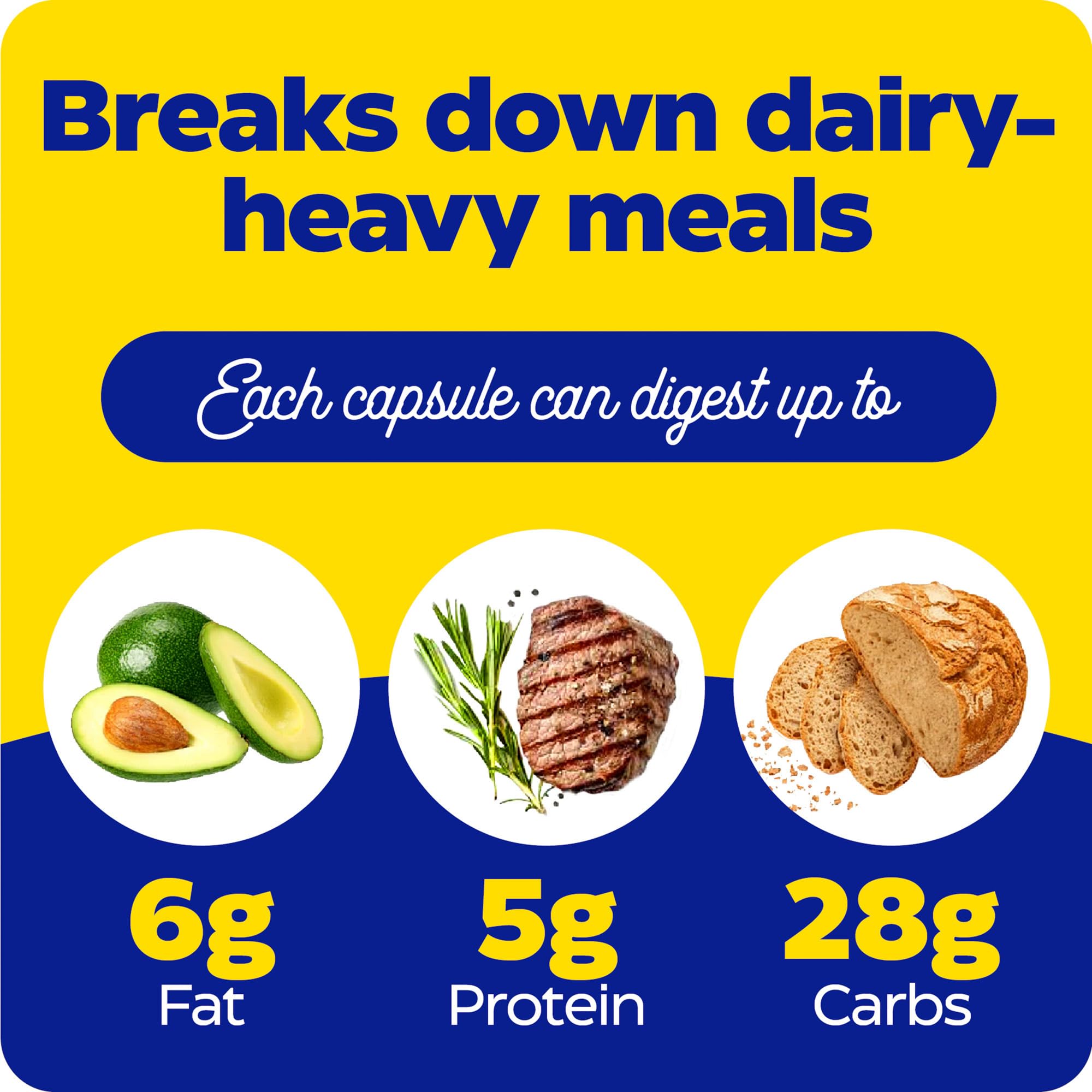 Enzymedica supplement graphic breaks down dairy heavy meals with fat protein carbs icons dairy intolerance digestive enzymes