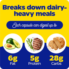 Enzymedica supplement graphic breaks down dairy heavy meals with fat protein carbs icons dairy intolerance digestive enzymes