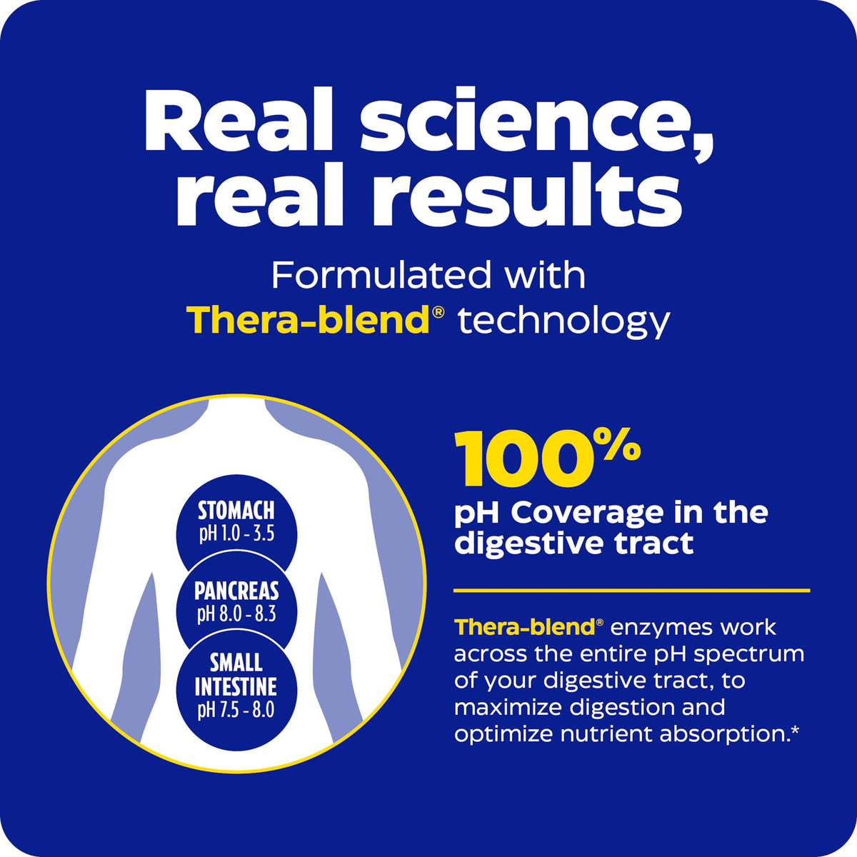 Enzymedica graphic showing Therablend enzyme pH coverage across digestive tract and dairy intolerance digestive enzymes support