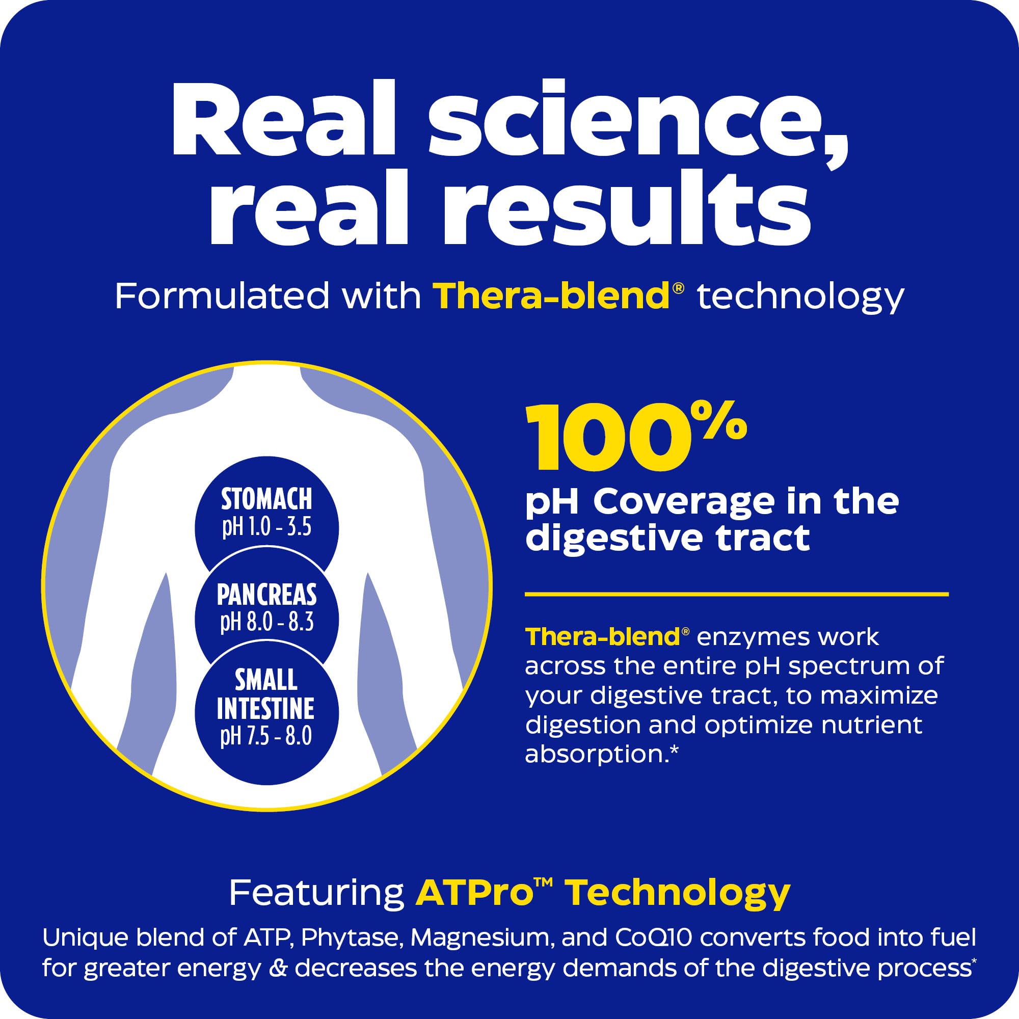 Enzymedica digestive enzyme supplements for bloating with Thera-blend technology for optimal digestion
