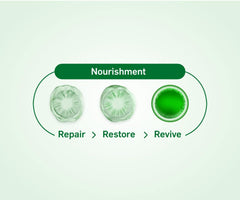 Evion 400mg softgels for skin packaging concept showing three green capsules with Repair Restore Revive and Nourishment label