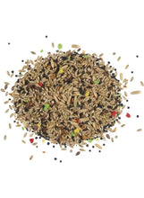 Canary mix seeds pile with mixed grains and colored kernels