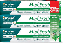 Himalaya Mint Fresh herbal toothpaste 3-pack in mint green box