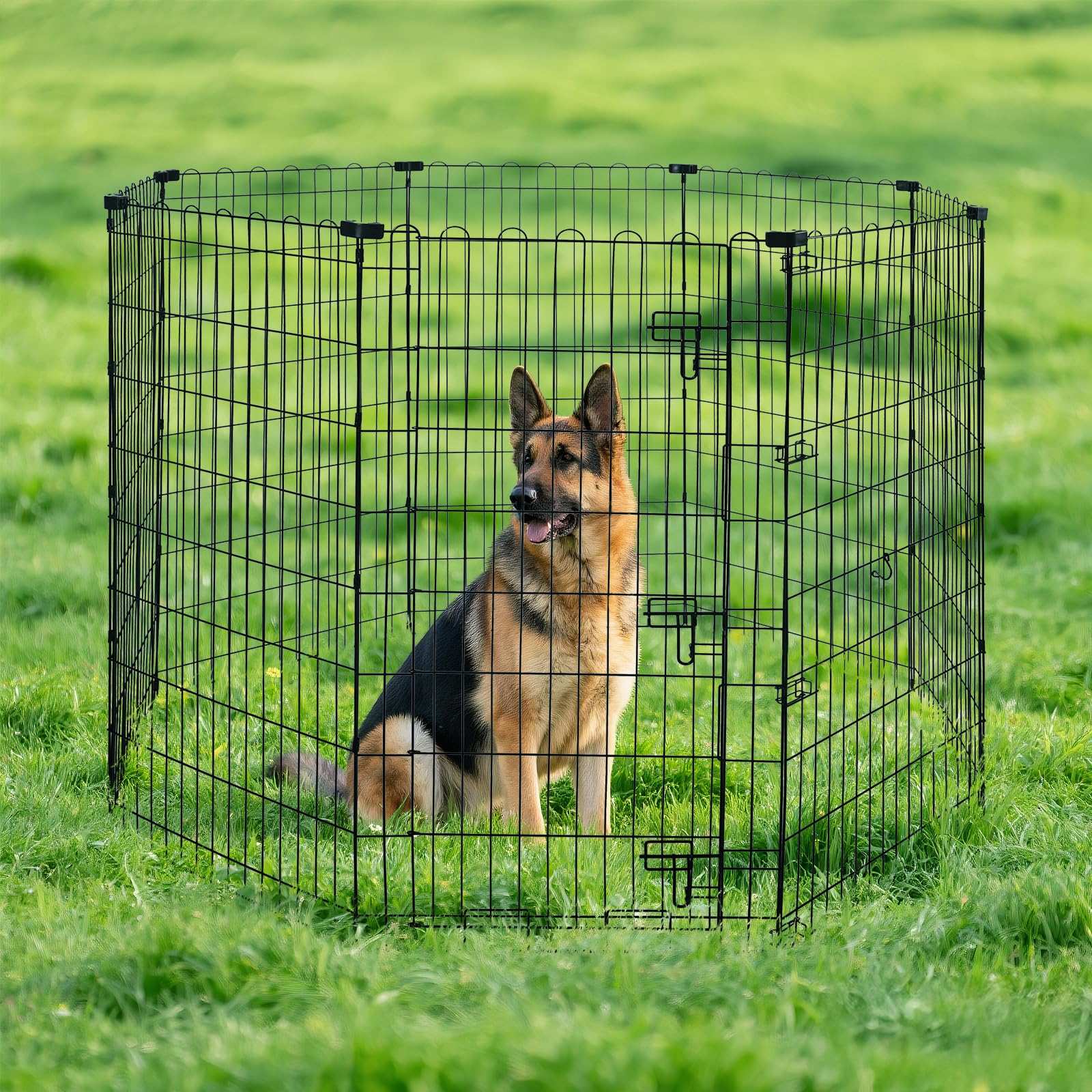 Foldable metal dog playpen in outdoor setting with a German Shepherd sitting inside