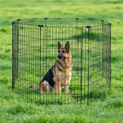 Foldable metal dog playpen in outdoor setting with a German Shepherd sitting inside