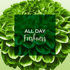 Freshdays daily liners 72 pads marketing image with green floral background and All Day Freshness text