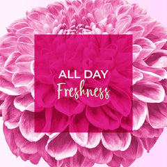 Freshdays daily liners promotional image pink dahlia background with All Day Freshness banner