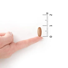 Brown multivitamin tablet held between fingers beside measurement scale
