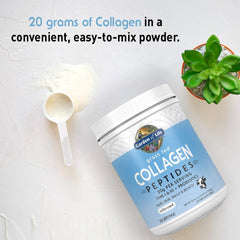 Garden of Life tub of grass fed collagen peptides powder with scoop of powder and succulent plant