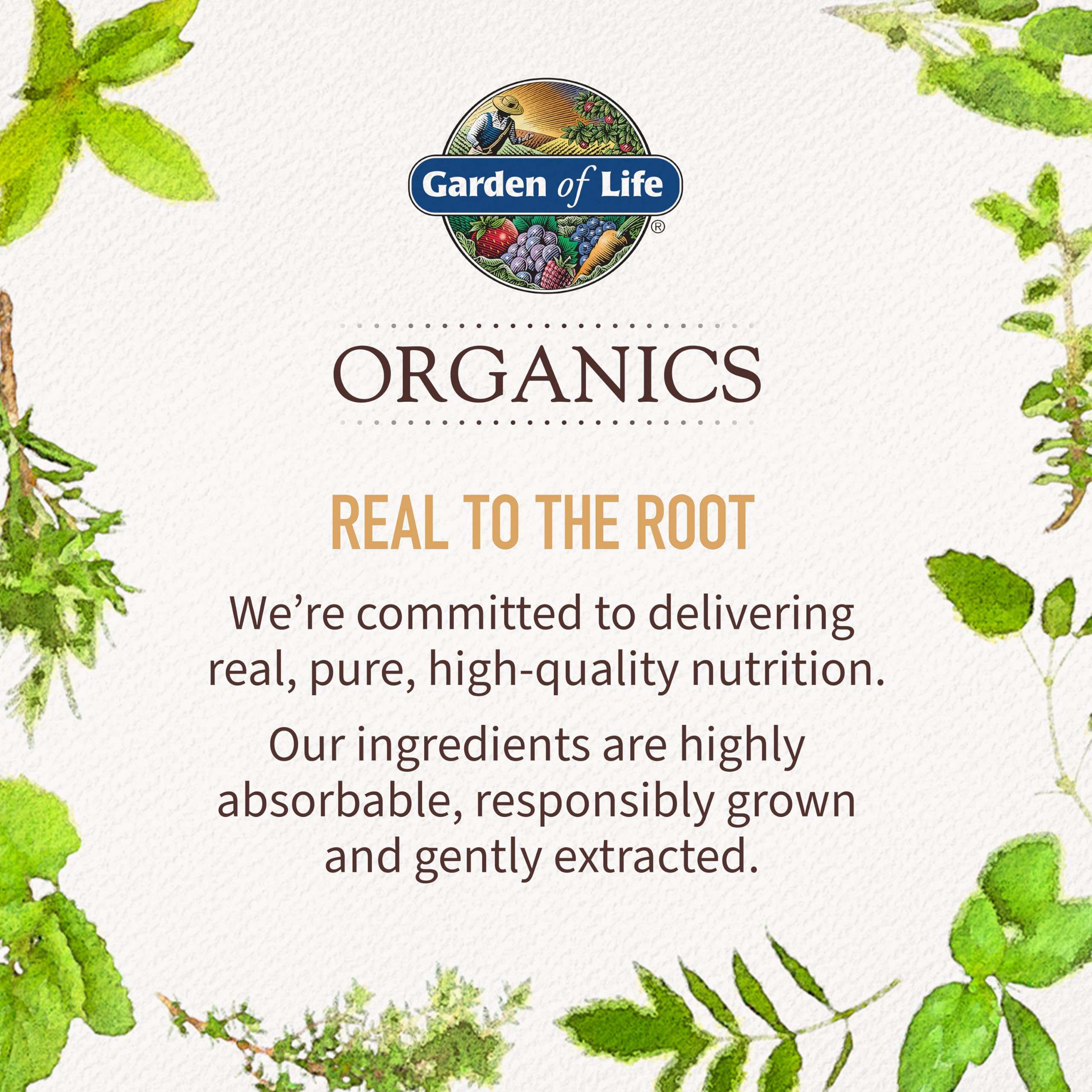 Garden of Life packaging art with logo and organics label surrounded by herbs for organic oil of oregano supplement