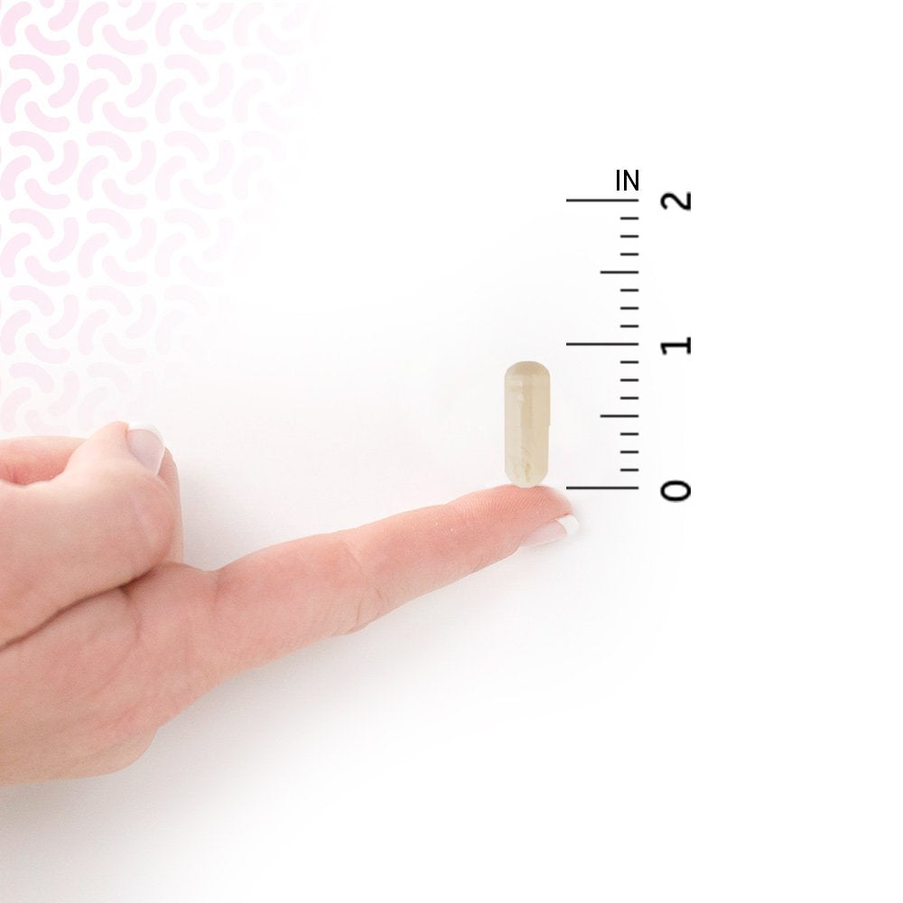 Garden of Life beige supplement capsule on fingertip next to ruler showing size probiotics for mood and relaxation