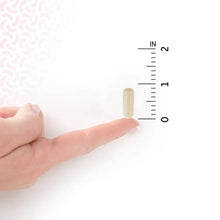 Probiotic capsule, pale beige, shown beside a measuring ruler