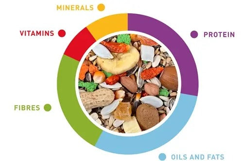 Colorful Padovan parrot food mix 600g with balanced nutrients for healthy birds