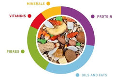 Colorful Padovan parrot food mix 600g with balanced nutrients for healthy birds