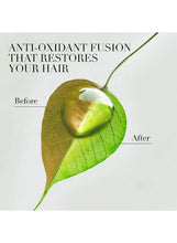 Anti-oxidant fusion hair care benefits graphic with leaf before and after