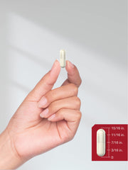 Horbäach hand holding a single beige supplement capsule between fingers with size diagram apple cider vinegar capsules