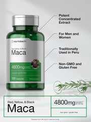 Green bottle of red yellow and black Maca supplement 4800mg 120 capsules labeled gluten-free maca root capsules