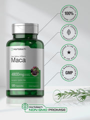 Horbaach gluten-free maca root capsules 4800mg bottle 120 capsules with non-GMO and GMP icons