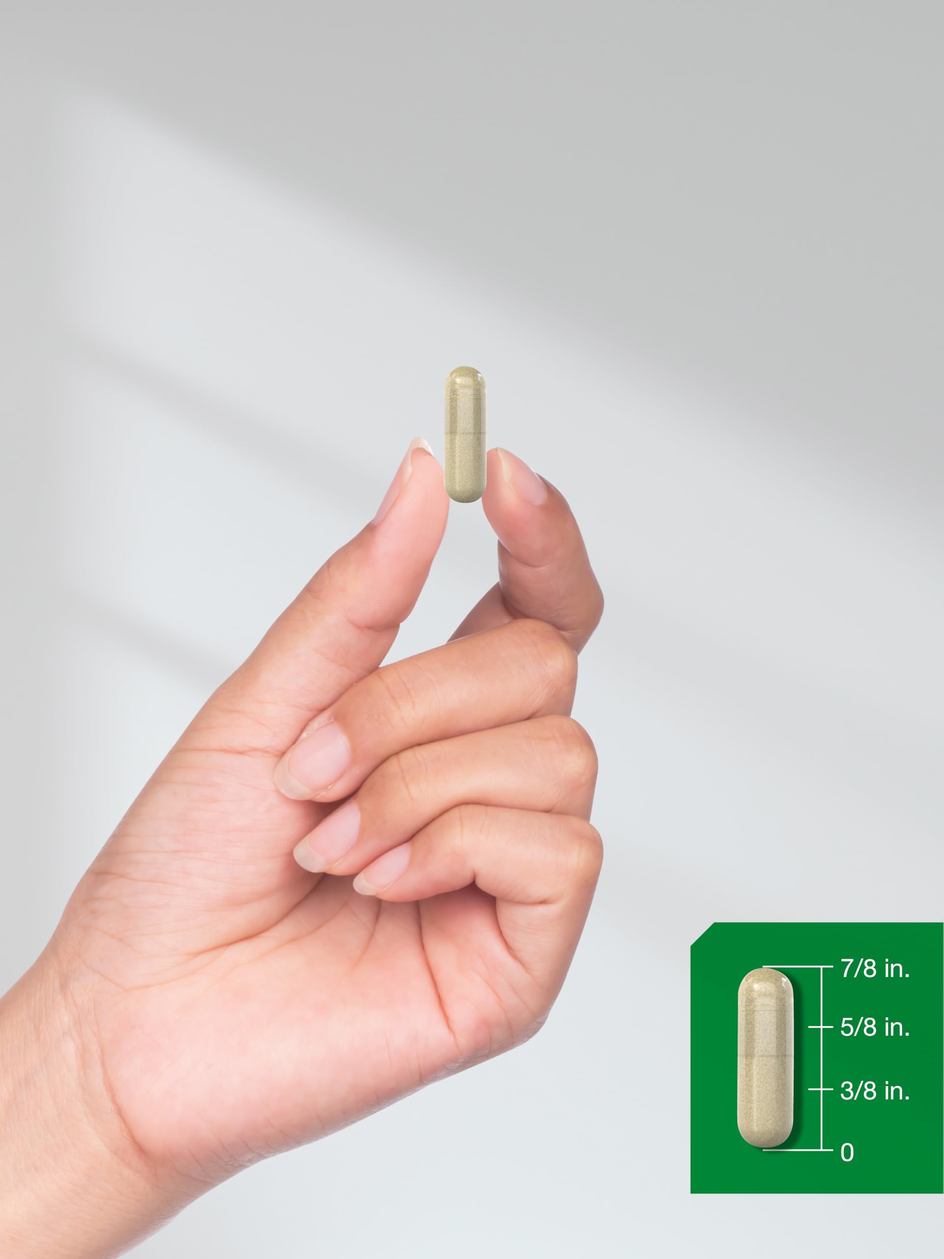 Single beige capsule from gluten-free maca root capsules held between fingers with size diagram