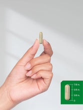 Single maca capsule held in hand with size scale shown