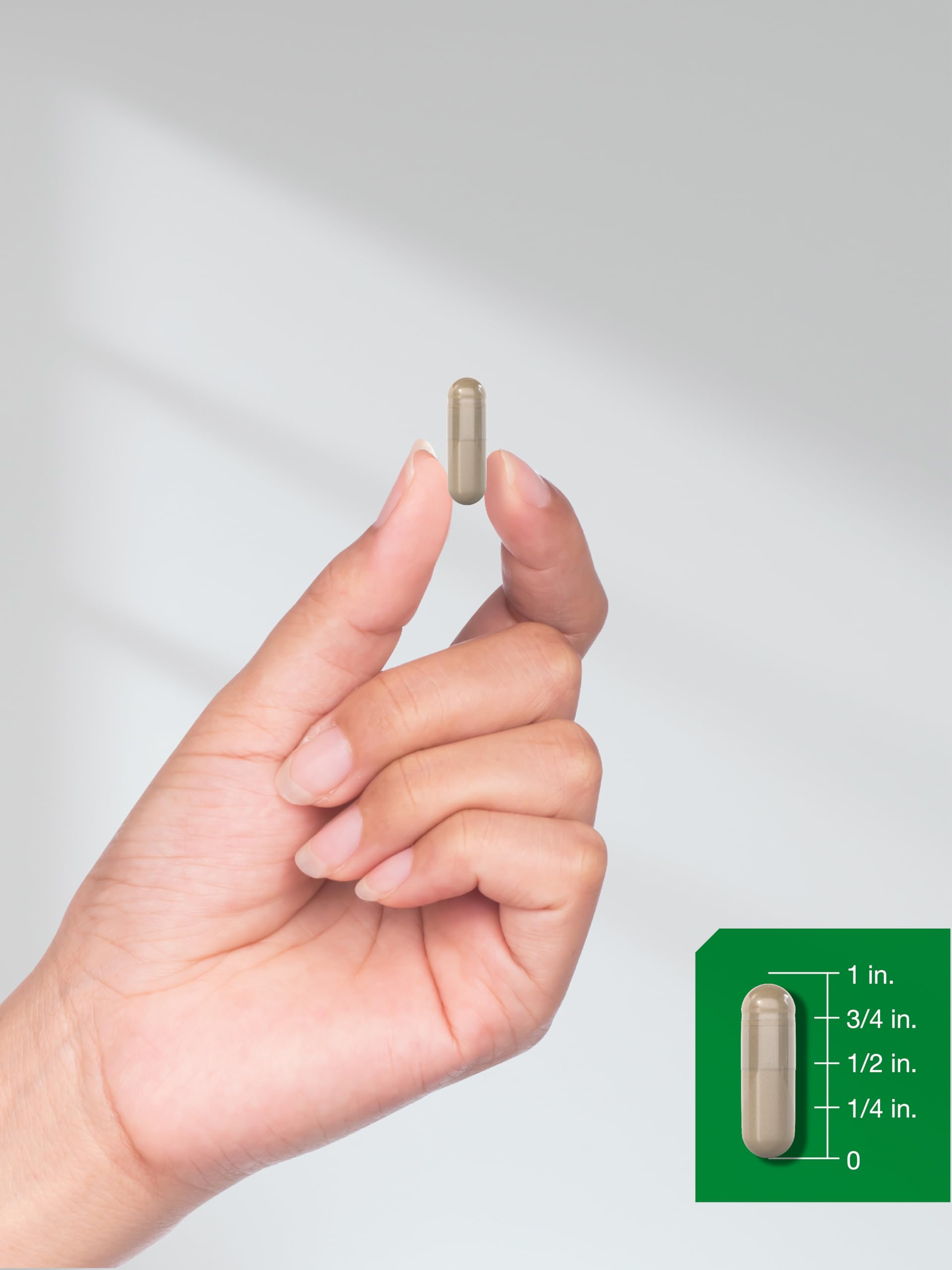 Horbach hand holding a single saw palmetto extract supplement capsule with size chart