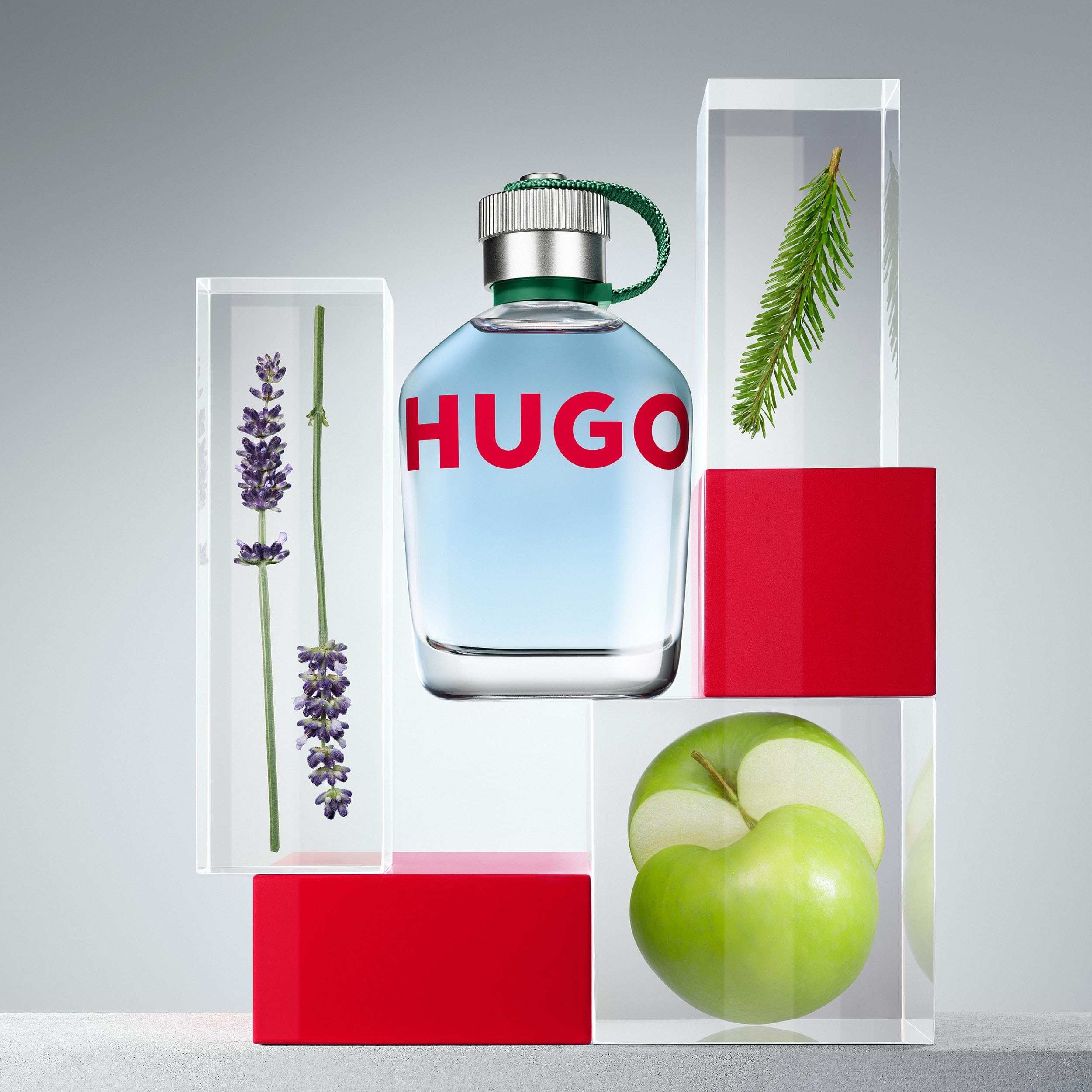 Hugo Boss Man fragrance for men bottle with lavender, green apple, and pine needles in clear display blocks