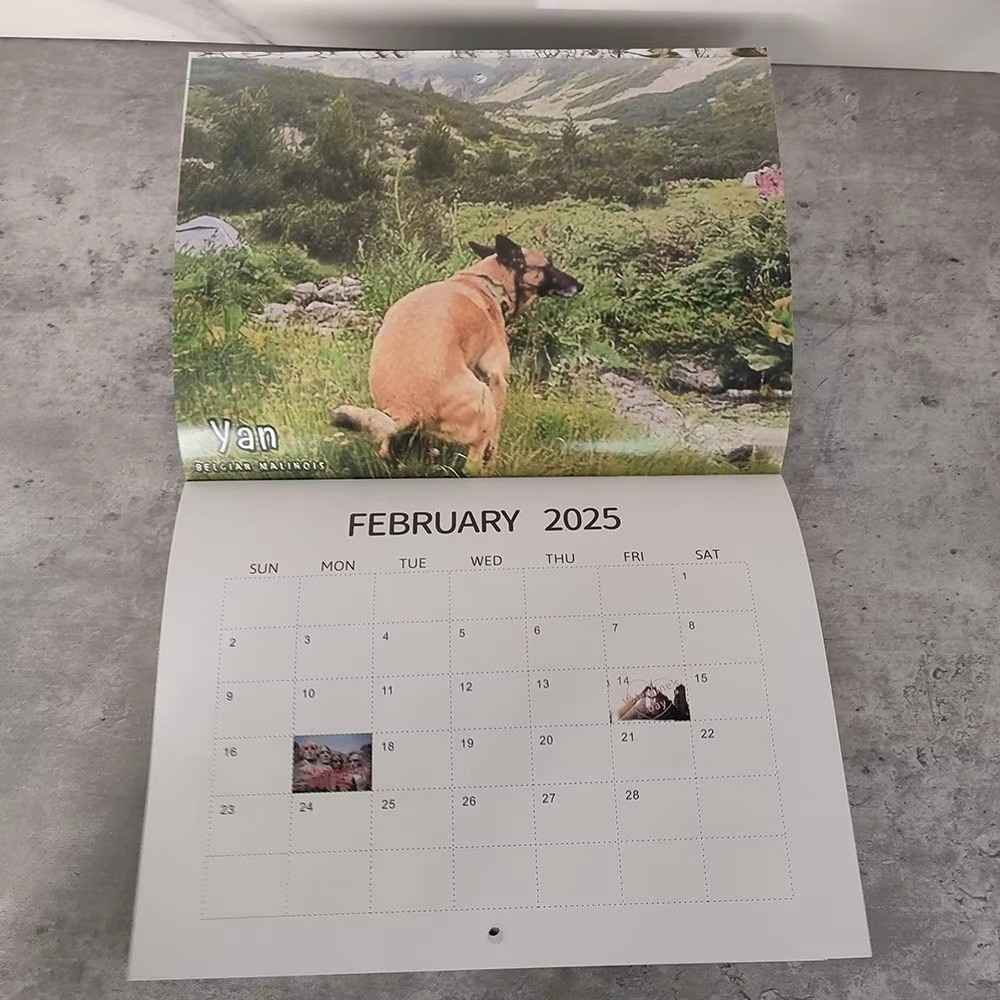 Huitich 2025 Funny Dogs Pooping Calendar - Unique Pet Lover Gift - Mumzar