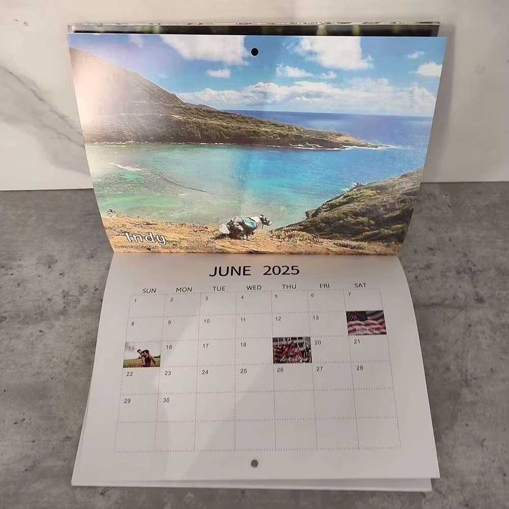 Huitich 2025 Funny Dogs Pooping Calendar - Unique Pet Lover Gift - Mumzar