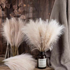 Huitich A - Express 10PCS 55CM White Faux Pampas Grass Decor - Mumzar