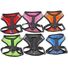Huitich A - Express Cat Harness and Leash Set for Walking - Mumzar