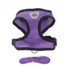 Huitich A - Express Cat Harness and Leash Set for Walking - Mumzar