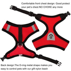 Huitich A - Express Cat Harness and Leash Set for Walking - Mumzar