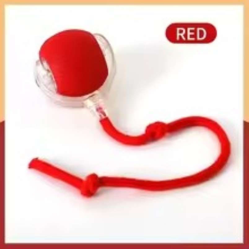 Huitich A - Express Interactive Rolling Ball Toy for Pets - Mumzar