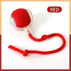 Huitich A - Express Interactive Rolling Ball Toy for Pets - Mumzar