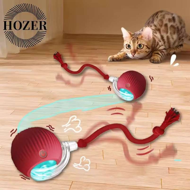 Huitich A - Express Interactive Rolling Ball Toy for Pets - Mumzar