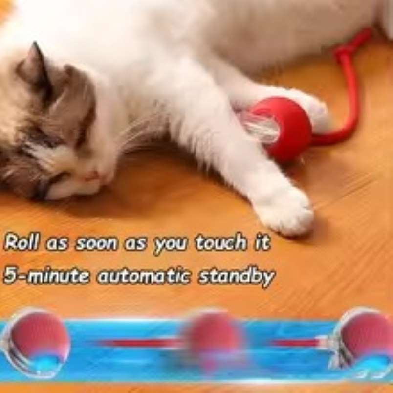 Huitich A - Express Interactive Rolling Ball Toy for Pets - Mumzar