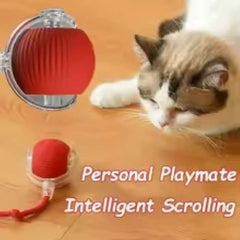Huitich A - Express Interactive Rolling Ball Toy for Pets - Mumzar