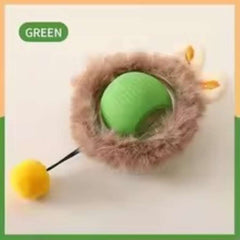 Huitich A - Express Interactive Rolling Ball Toy for Pets - Mumzar